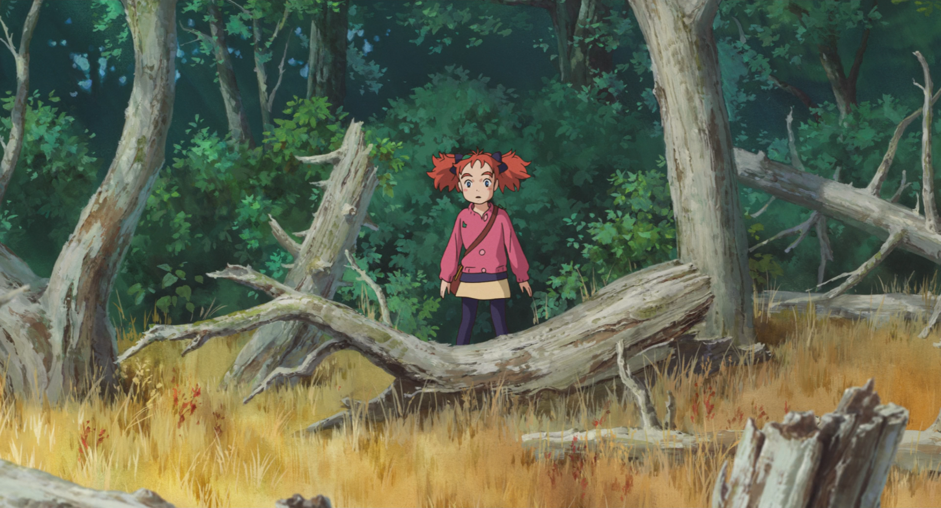 Mary to Majo no Hana (?)